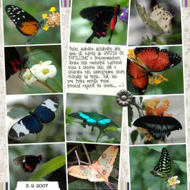 scrapbooking_draha_zlymotyl_left_small.jpg