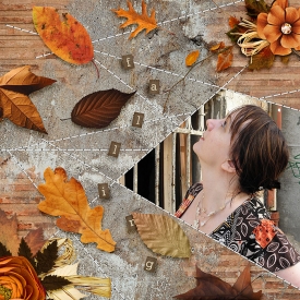 scrapbooking_moi_falling.jpg
