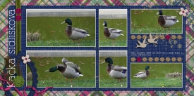 scrapbooking_zora_kacice.jpg
