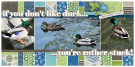 scrapbooking_zora_kacice2.jpg