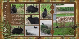 scrapbooking_zora_zajac.jpg