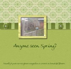 seen_spring.jpeg