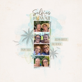 selfies_in_hawaii.jpg