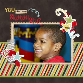 shiningstar1_copy.jpg
