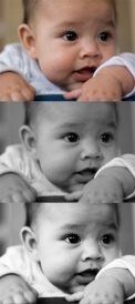 shutterbug-_3.jpg
