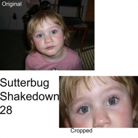 shutterbug-shakedown-28.jpg