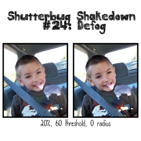 shutterbug13.jpg