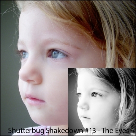 shutterbug13final.jpg