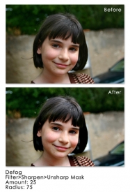 shutterbug241.jpg