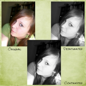 shutterbug3_web.jpg