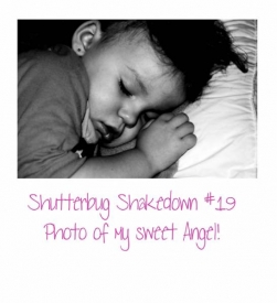 shutterbug_19.jpg