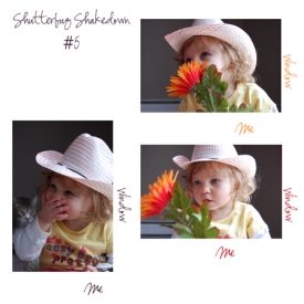 shutterbug_5.jpg