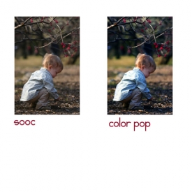 shutterbug_6.jpg