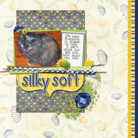 silky-soft.jpg