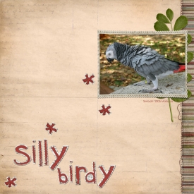 silly-birdy.jpg