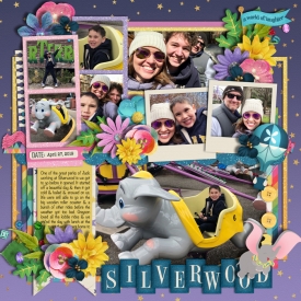 silverwood2019web.jpg