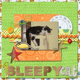 sleepy-cat.jpg