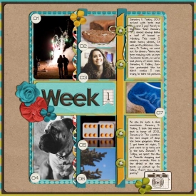 sm2012-1-weekone.jpg