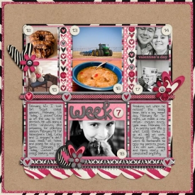 sm2012-2-week7.jpg