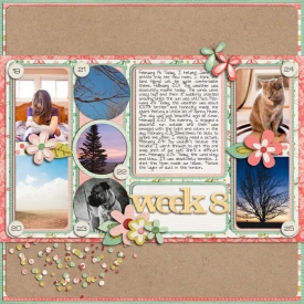 sm2012-2-week8.jpg