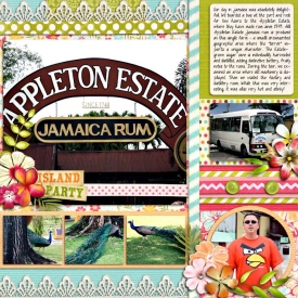 sm2012-3-appletonestate-left.jpg