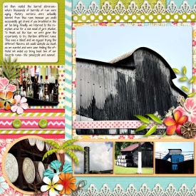 sm2012-3-appletonestate-right.jpg