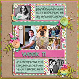 sm2012-3-week11.jpg
