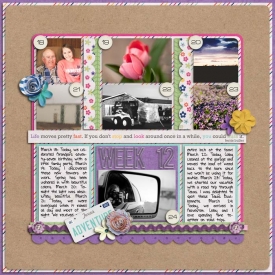 sm2012-3-week12.jpg