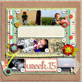 sm2012-4-week15.jpg
