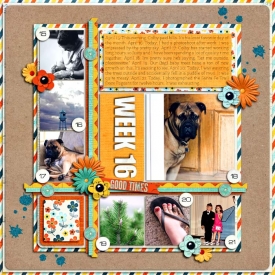 sm2012-4-week16.jpg
