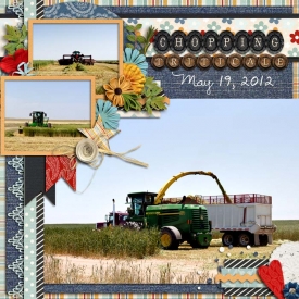 sm2012-5-triticale-left.jpg