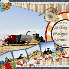 sm2012-5-triticale-right.jpg