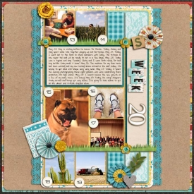 sm2012-5-week20.jpg