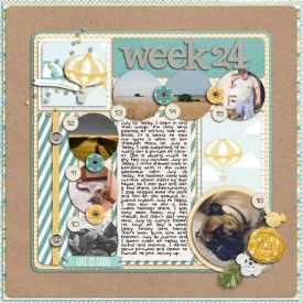 sm2012-6-week24.jpg