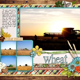 sm2012-6-wheatharvest-left.jpg