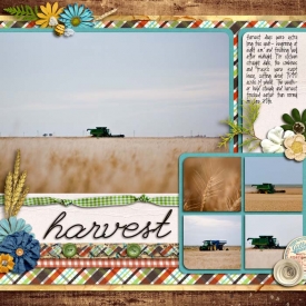 sm2012-6-wheatharvest-right.jpg