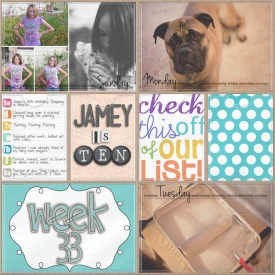 sm2012-8-week33-left.jpg