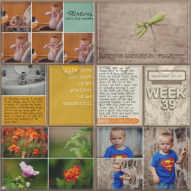 sm2012-9-week39-right1.jpg