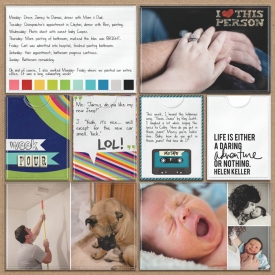 sm2013-1-week4-left.jpg