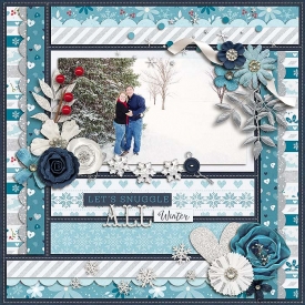 sm2013-12-snowpicture.jpg
