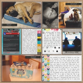 sm2013-2-week8-right.jpg