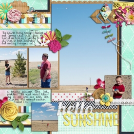 sm2013-3-flyingkites-left.jpg