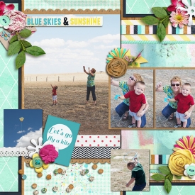 sm2013-3-flyingkites-right.jpg