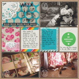 sm2013-4-week15-left.jpg