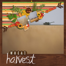 sm2013-7-wheatharvest-left.jpg
