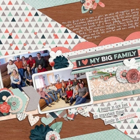 sm2014-1-family1.jpg