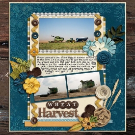 sm2014-7-wheatharvest-left.jpg