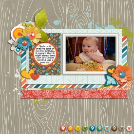 sm2015-1-gavinbirthdaycake.jpg
