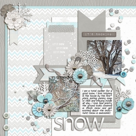 sm2015-1-snowlove.jpg