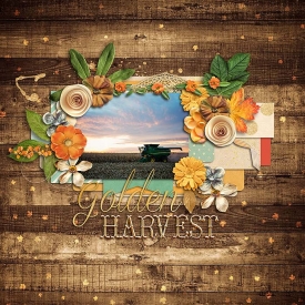 sm2015-10-harvestsunset.jpg